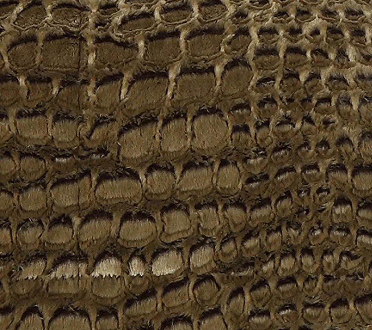 Chic Home Alligator 3-Pc Queen Comforter Set 5 Chic Home Alligator 3-Pc Queen Comforter Set - Image 5