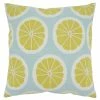 Saro Lifestyle Citrus Embroidered Decorative Pillow, 18 X 18